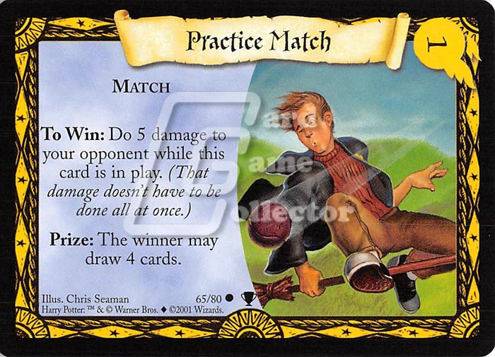 Harry Potter TCG: Practice Match